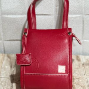 mini bolso Cloe