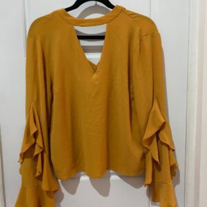 Blusa 2
